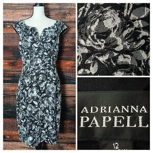 Adrianna Papell Sheath Dress 12 Mesh Lace Black White Floral Cap Sleeve Stretch